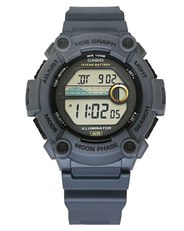 CASIO WS-1300H-8AVEF Часы