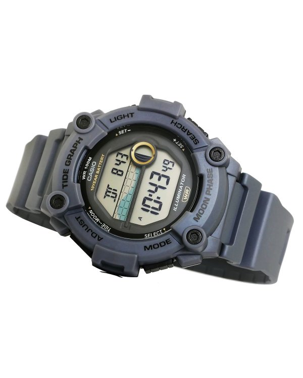 CASIO WS-1300H-8AVEF Часы