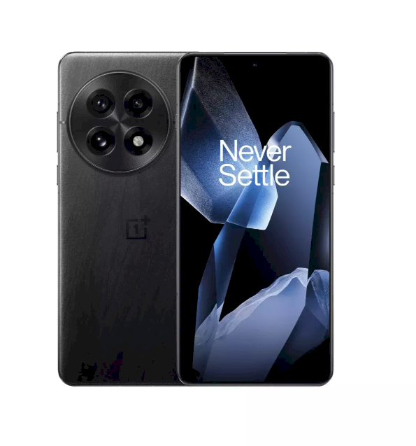 OnePlus 13 Смартфон 12 GB / 256 GB / 5G / Чёрный