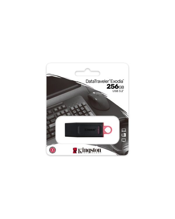 Kingston 256GB USB 3.2 Gen1 DataTraveler флешка