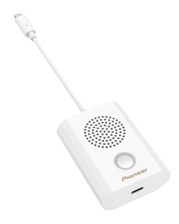 Pioneer XW-LTS5-W Rayz Rally Lightning Портативная Колонка
