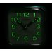 CASIO TQ-142-7EF Часы
