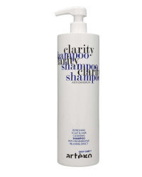 Artègo Easy Care T Clarity Шампунь 1000 ml