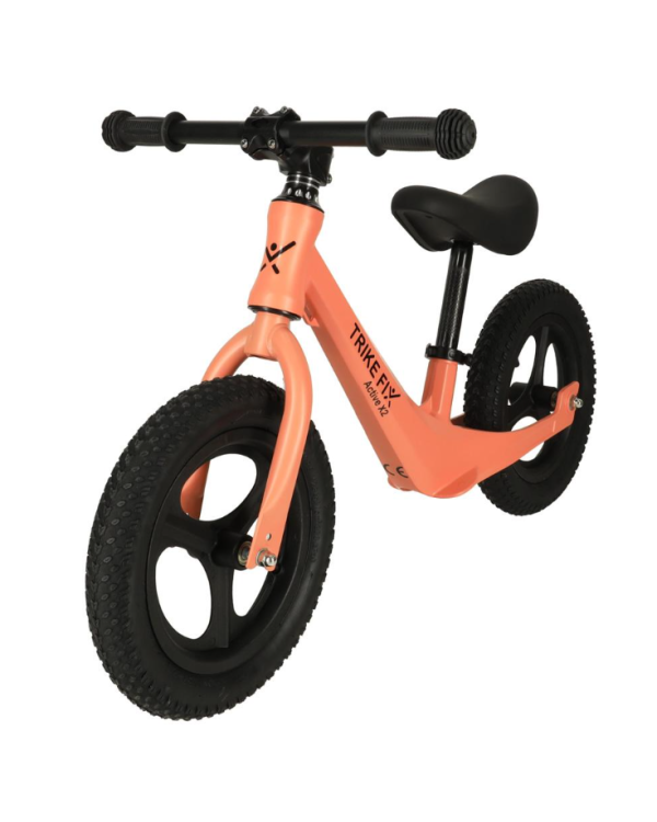 Дополнительное изображение книги «Trike Fix Active X2 Велосипед»