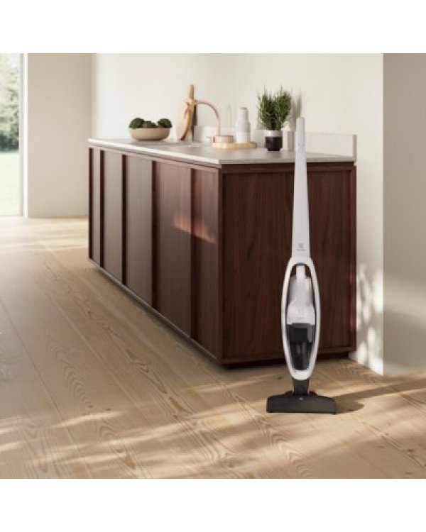 Electrolux ES31CB18SH Пылесос
