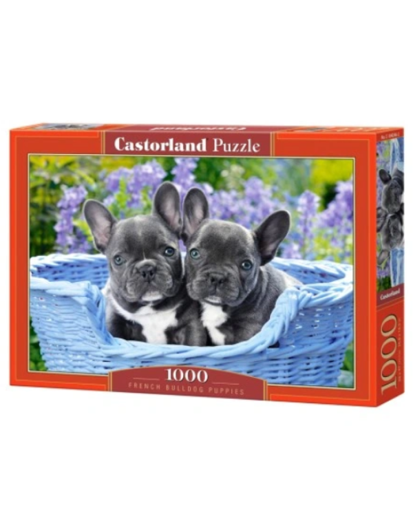 Castorland Французские Бульдоги 1000 шт.