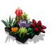 LEGO 10309 Succulents Конструктор LEGO 10309 Succulents Конструктор