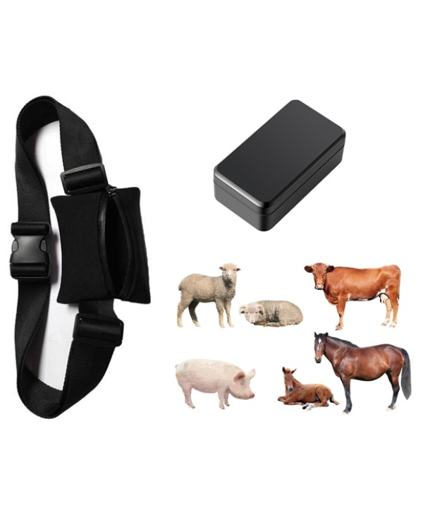 Extra Digital XX250189 GPS Трекер для животных