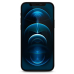 Guess GUSPP12SSLTR Vintage Magic Logo Tempered Glass Защитное стекло для Apple iPhone 12 Mini