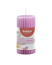 Bolsius True Scents Ароматическая Свеча 120x58mm Магнолия