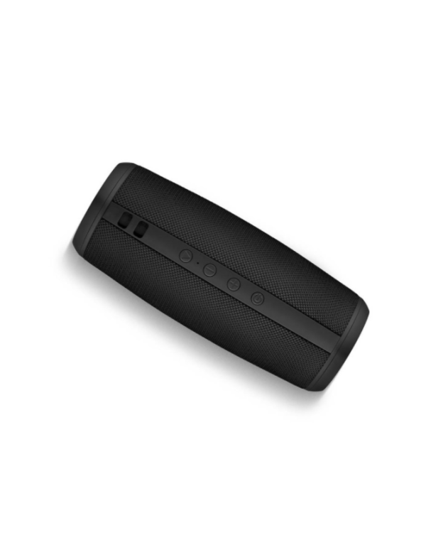 Niceboy RAZE 2 Ego Bluetooth 5.0 Беспроводная колонка FM / Aux / USB / Micro SD / 12W