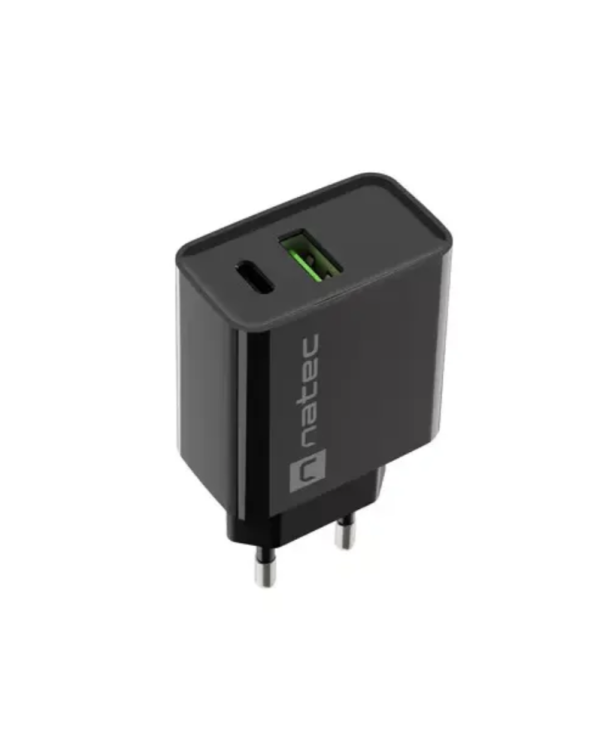 Natec Ribera USB-A USB-C Сетевой зарядное устройство 20W