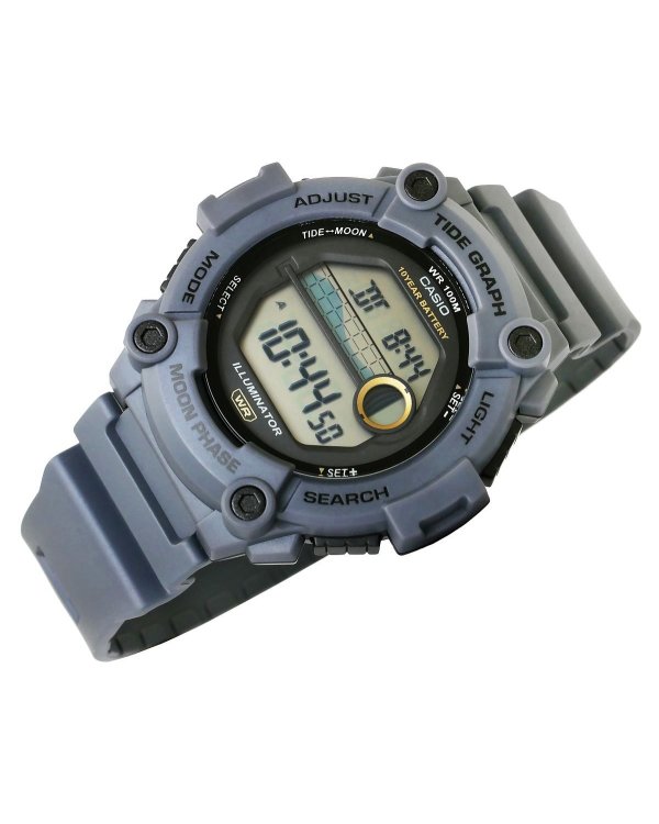CASIO WS-1300H-8AVEF Часы
