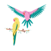 LEGO 31211 Macaw Parrots Конструктор