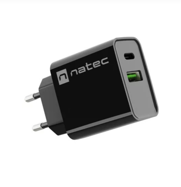 Natec Ribera USB-A USB-C Сетевой зарядное устройство 20W