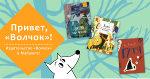 Знакомьтесь с «Волчком»!