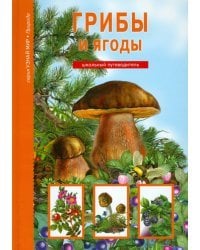 Грибы и ягоды. Школьный путеводитель
