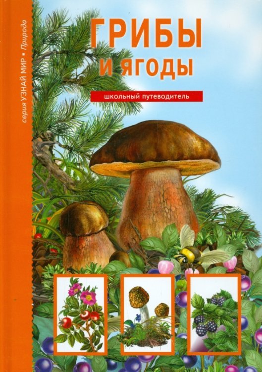 Грибы и ягоды. Школьный путеводитель