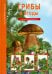 Грибы и ягоды. Школьный путеводитель