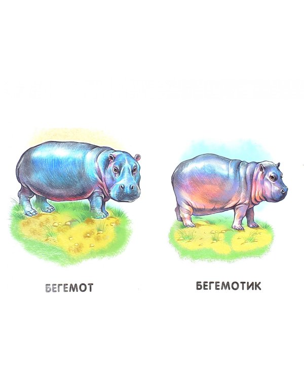 Мамы и детеныши