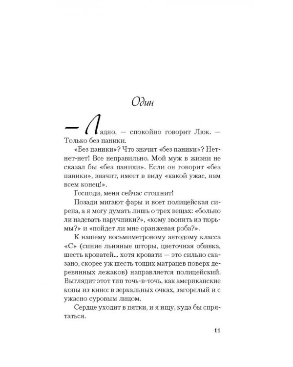 Дополнительное изображение книги «Шопоголик спешит на помощь»