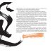 Книга беспредельной мудрости Вэй Дэханя