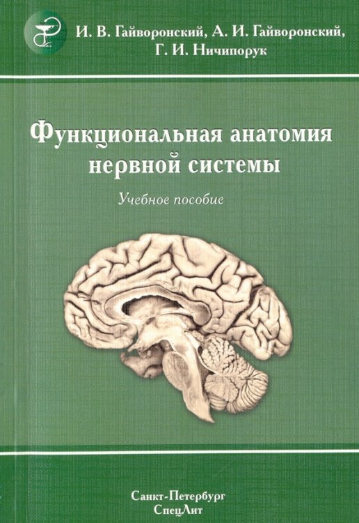 Функциональная анатомия нервной системы. Учебное пособие