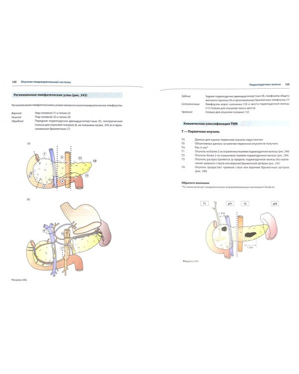 TNM Атлас. Иллюстрированное руководство по TNM