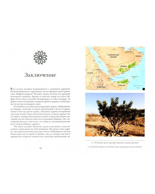 Тайны оманского ладана. История, культура