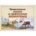 Удивительная книга об удивительных животных