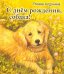 С днем рождения, собака!