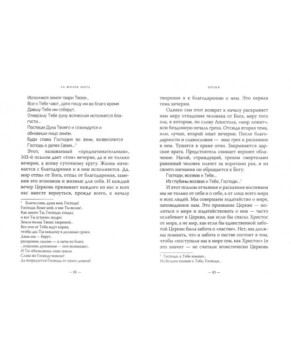 Дополнительное изображение книги «За жизнь мира»