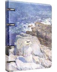 Тетрадь общая Hassam, 120 листов, клетка, на кольцах