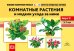 Обложка книги «Картотека предметных картинок №32. Комнатные растения и модели ухода за ними. 3-7 лет. ФГОС» — Ковалева Е.С., ISBN 9785907317413