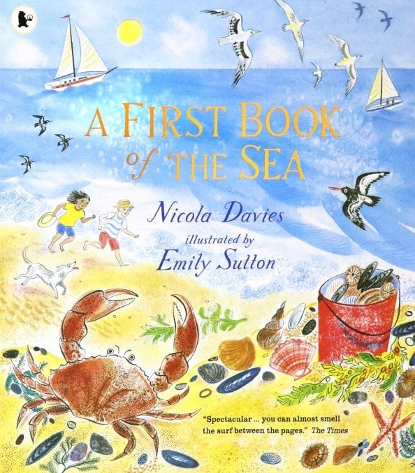 Обложка книги «A First Book of the Sea» — Davies Nicola