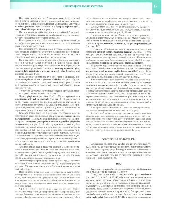 Дополнительное изображение книги «Атлас анатомии человека. В 3-х томах. Том 2»