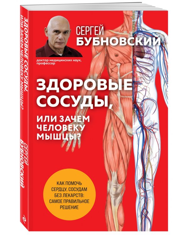 Здоровые сосуды, или Зачем человеку мышцы?