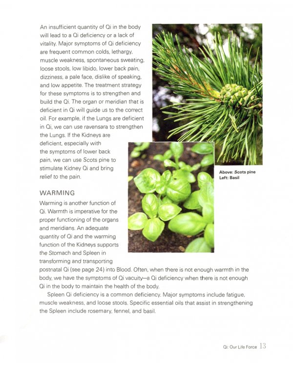 Aromatherapy. Essential Oils and the Power of Scent for Healing, Relaxation, and Vitality