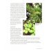 Aromatherapy. Essential Oils and the Power of Scent for Healing, Relaxation, and Vitality