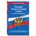 Уголовно-процессуальный кодекс РФ. Текст с изменениями и дополнениями на 1 февраля 2022 года