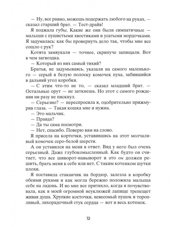 Койот Санрайз. Невероятная гонка на школьном автобусе