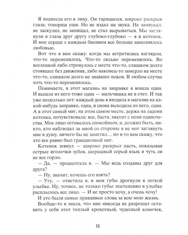 Койот Санрайз. Невероятная гонка на школьном автобусе