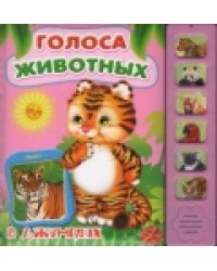 В джунглях