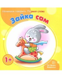 Зайка сам