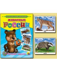 Обучающие карточки. Животные России