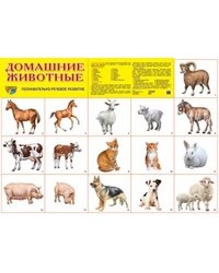 Демонстрационный плакат. Домашние животные