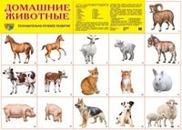 Обложка книги «Демонстрационный плакат. Домашние животные», ISBN 9785994904916