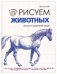 Рисуем животных