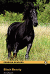 Black Beauty (+ Audio CD)