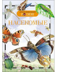 Насекомые